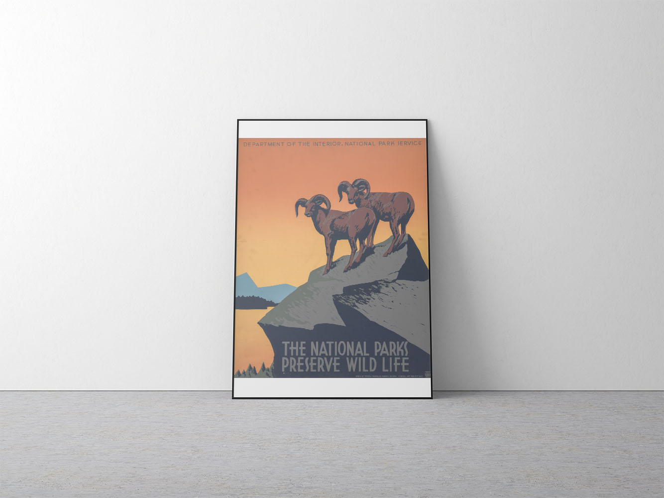 Affiche the national parks preserve wild life - UNIVEA