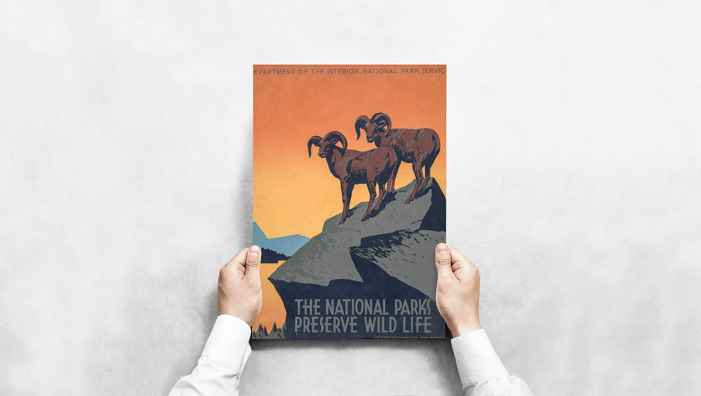 Affiche the national parks preserve wild life - UNIVEA