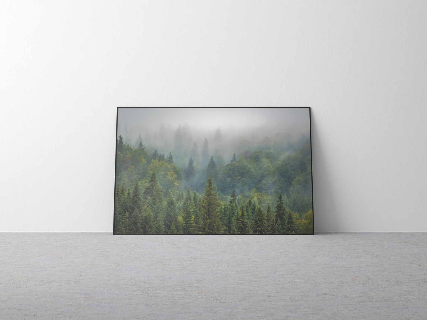 foret brumeuse 2 - UNIVEA