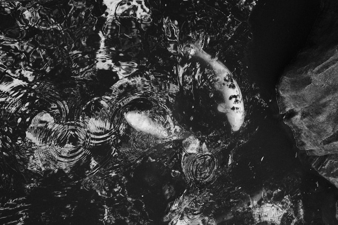 une-photo-en-noir-et-blanc-dune-femme-allongee-sur-le-sol-ICLAJBbBgeo