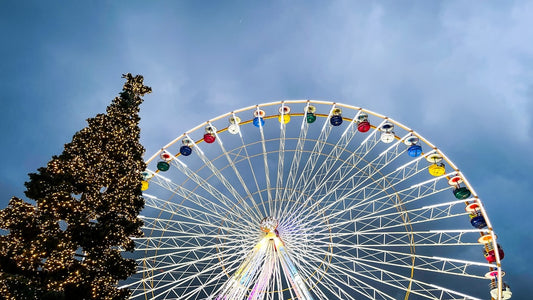 une-grande-roue-posee-a-cote-dun-grand-arbre-6P-vqJqpXpI