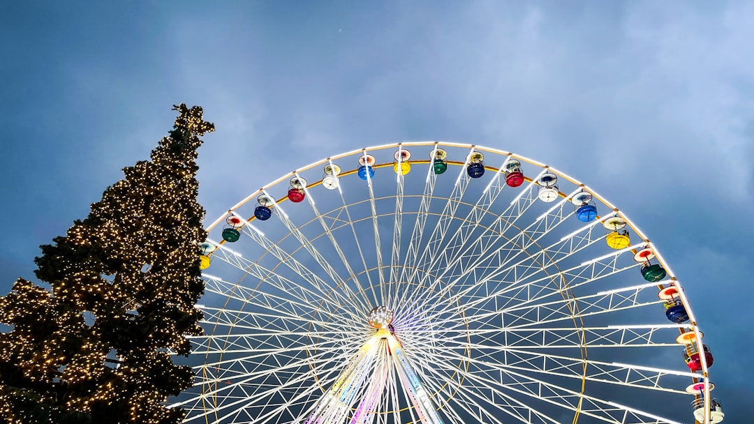 une-grande-roue-posee-a-cote-dun-grand-arbre-6P-vqJqpXpI