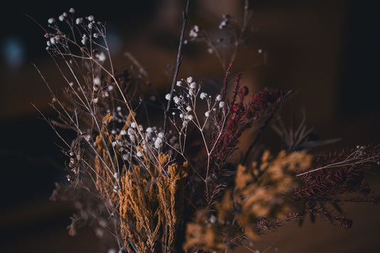 un-vase-rempli-de-fleurs-sechees-iEKXHoy9lII