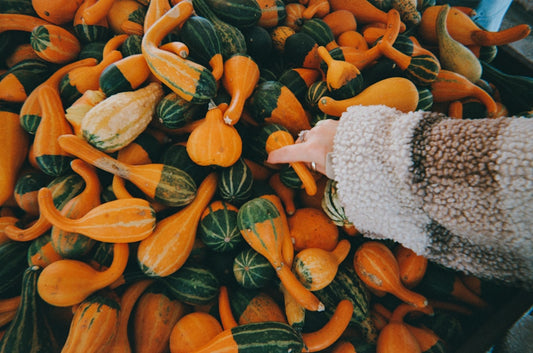 une-personne-qui-tend-la-main-vers-un-tas-de-courges-rYPj8XHp_SE