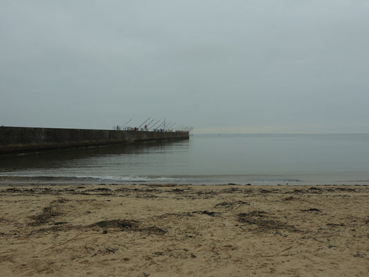 une-plage-de-sable-au-bord-dun-plan-deau-_swYBrn5whY