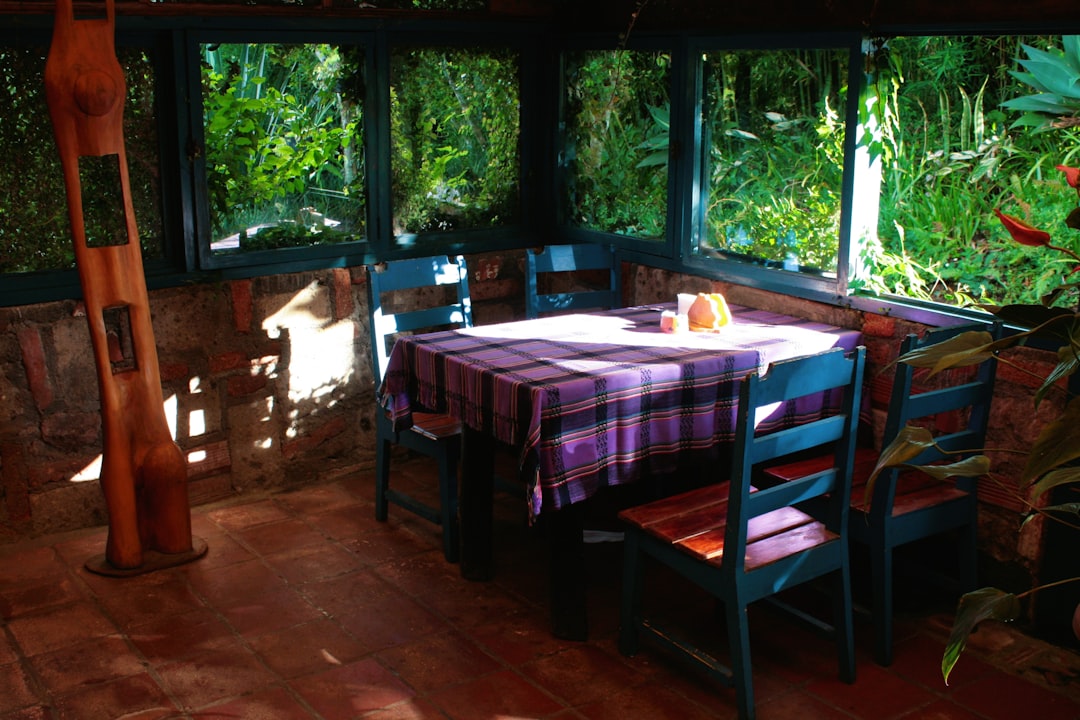 une-table-et-des-chaises-dans-une-piece-avec-des-plantes-Tm-eUCFtIvk